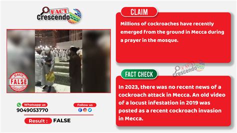 Is It True That Millions Of Cockroaches Have Recently Emerged F.